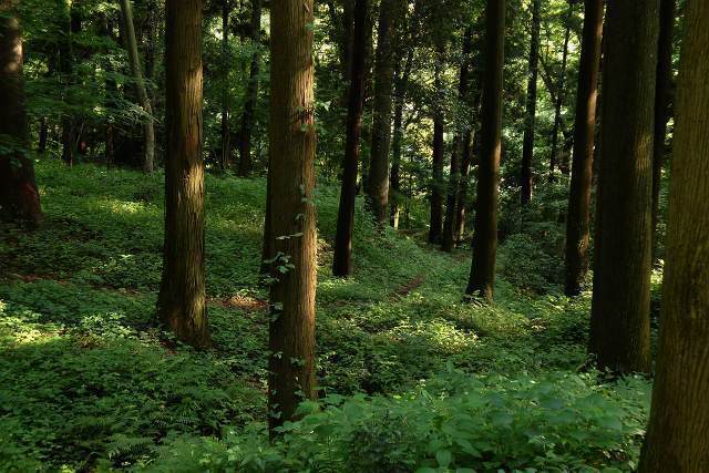 080630_2.jpg