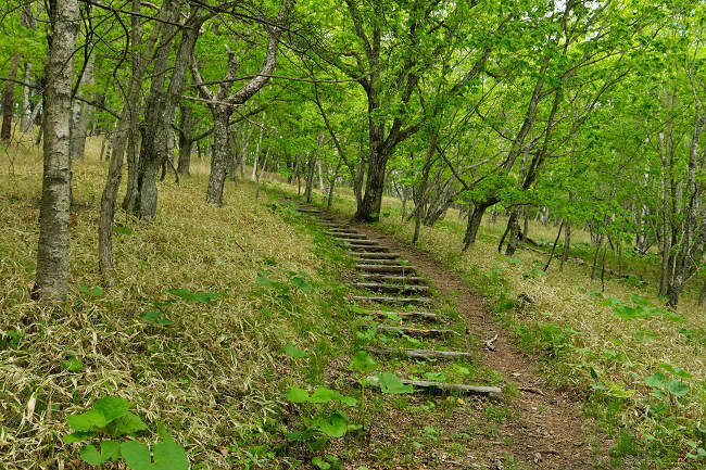 DSCF1872s.jpg