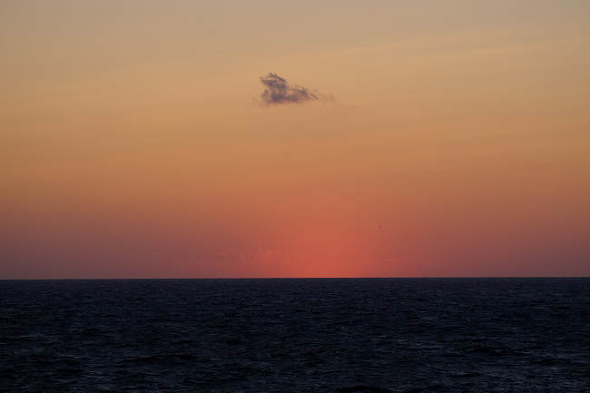 DSCF5623m.jpg