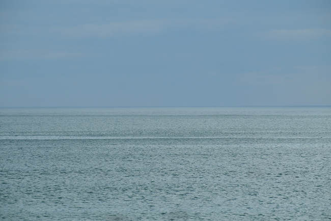 DSCF5705m.jpg
