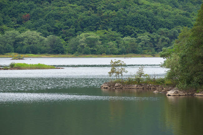 DSC_0016s.jpg