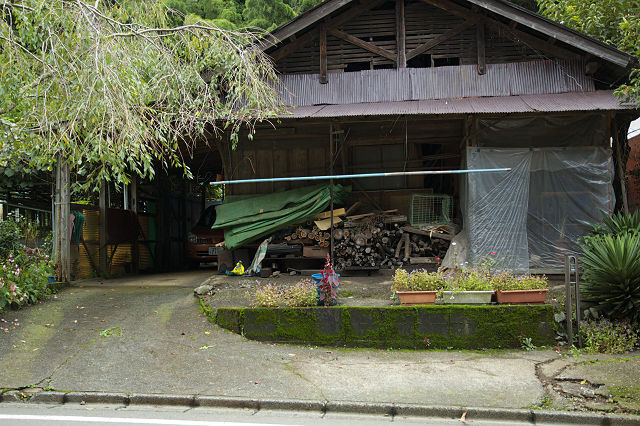 DSC_2080-t.jpg