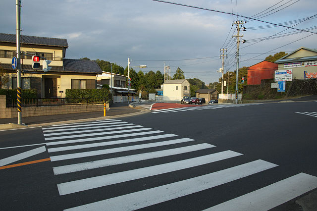 DSC_2398-t.jpg