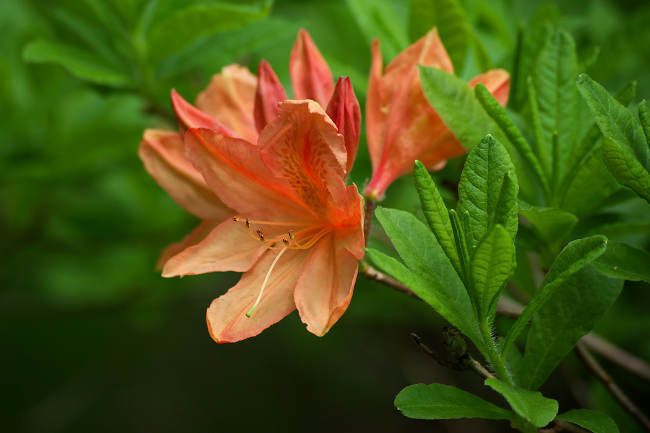 DSC_9683s.jpg