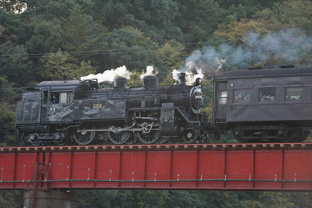 JS1_7018-t.jpg