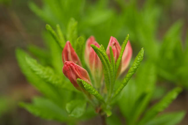 JS3_4560-t.jpg