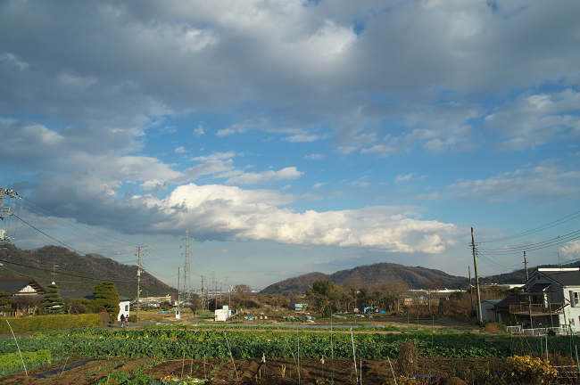 JS3_9267-t.jpg