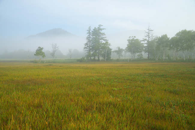 KSD_5693-t.jpg