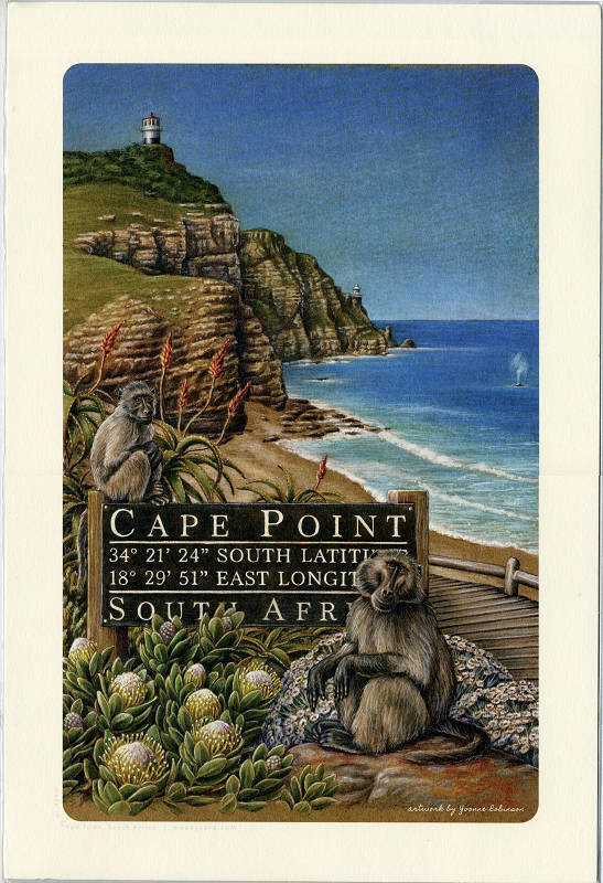 capepoint2 1s.jpg