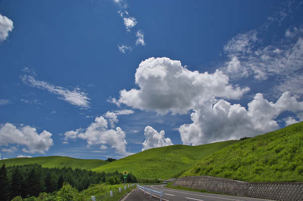 pic1.jpg