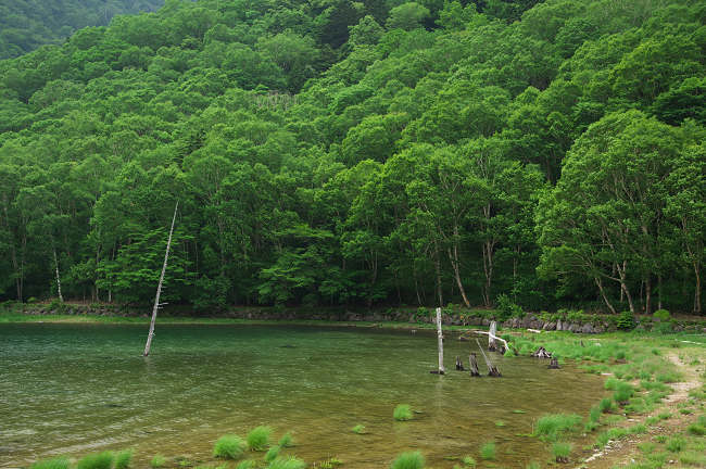 pic1.jpg