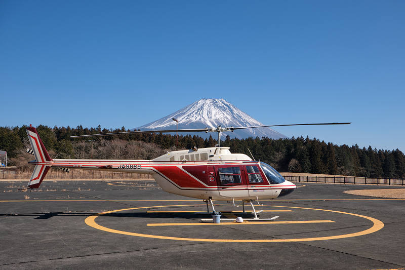 DSCH0380s.jpg